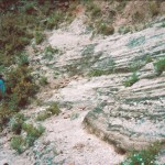 Laminated airfall ash and lapilli layers from Plinian activity near SW coast of Saba .