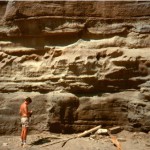 Seacliff at Bargine Bay where stratigraphic section II was measured. Stratigraphic units are essentially the same as those in photo 12.